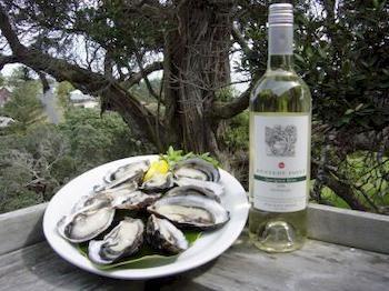 Waiheke Island Vineyard Holiday Houses Surfdale Ngoại thất bức ảnh